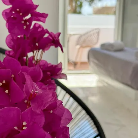 Sandy's Paradise 아파트